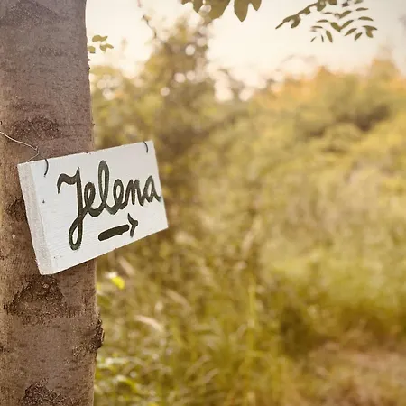 Luxussátor Jelena *